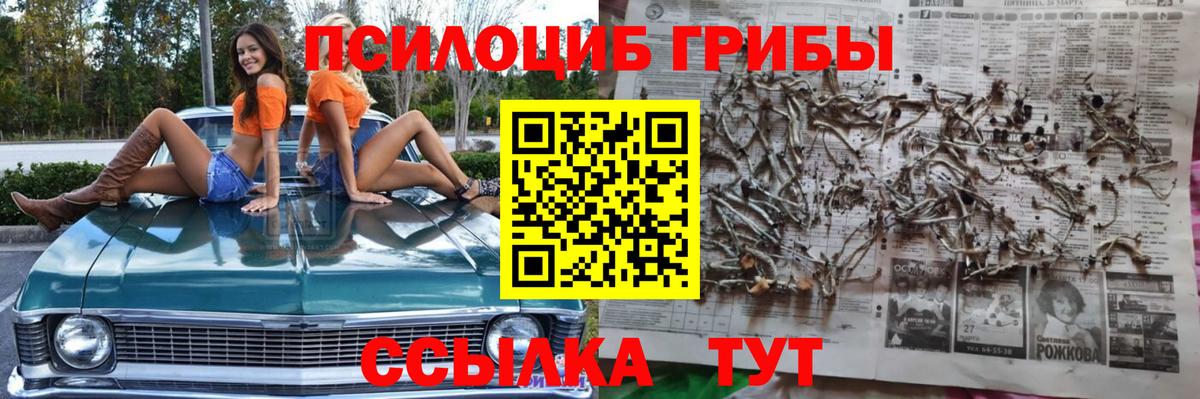 как найти закладки  Вход с VPN  Ноябрьск  Галлюциногенные грибы мухоморы 